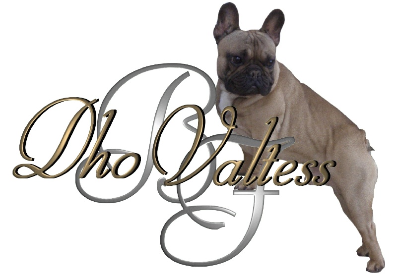 Valtess (Sans Affixe) - 2 ème EXCELLENT CO