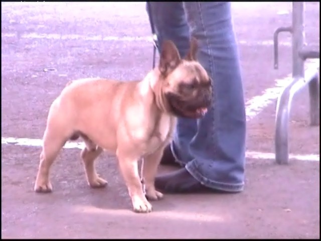 Valtess (Sans Affixe) - 2ème exellent Classe ouverte RCACS