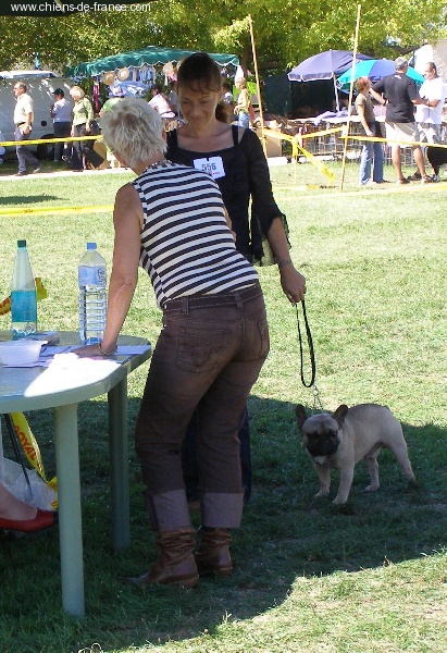 Valtess (Sans Affixe) - 1er Exellent Classe intermédiaire CACS