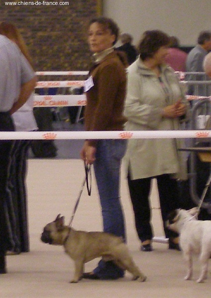 Valtess (Sans Affixe) - Exellent classe intermédiaire