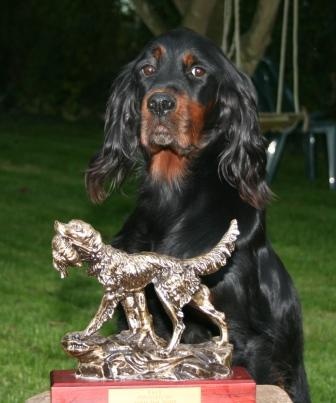 Diva II de la Haute Bailly - Gagnante du Trophée René Ranson 2011