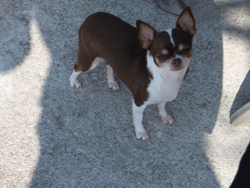 Publication : des jardins de jade