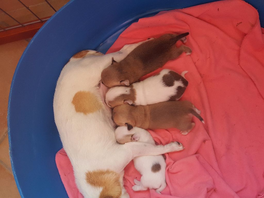 Publication : des jardins de jade