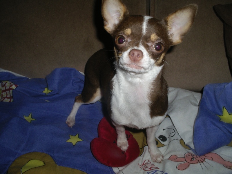 Publication : des jardins de jade