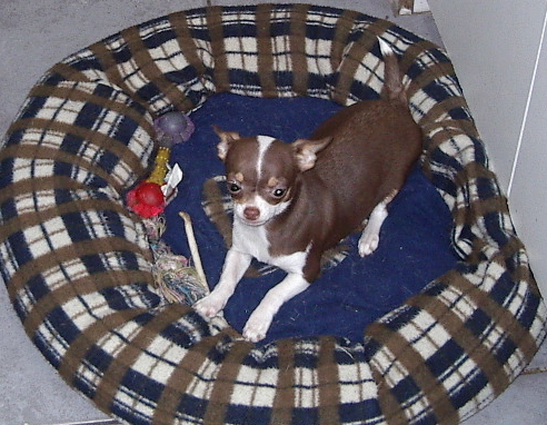 Publication : des jardins de jade