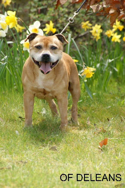 Us'lola (Sans Affixe)