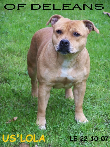 Us'lola (Sans Affixe)