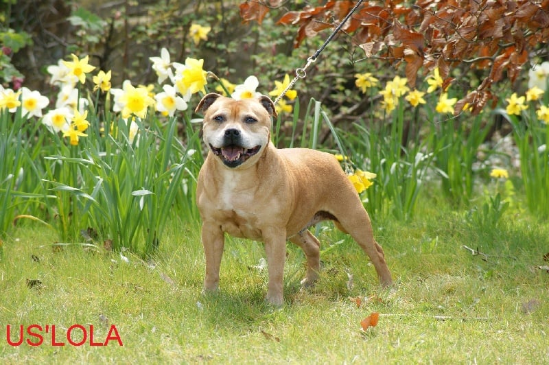 Us'lola (Sans Affixe)