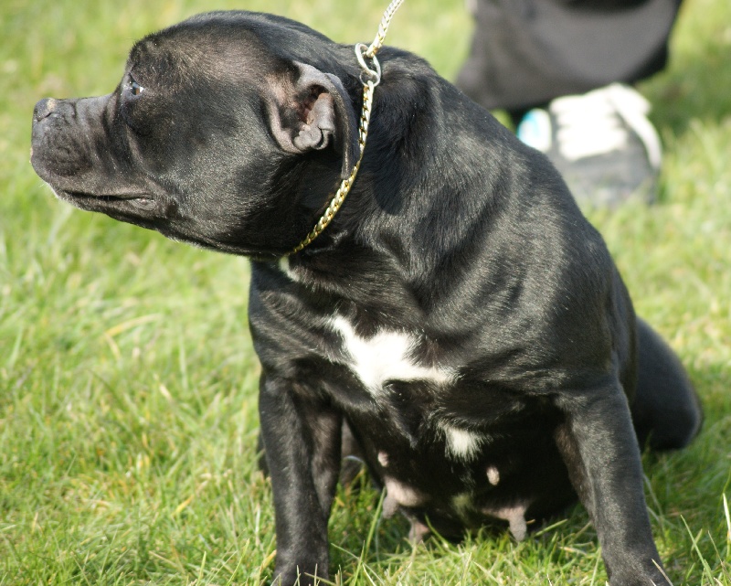 Publication : Of deleans Auteur : OF DELEANS