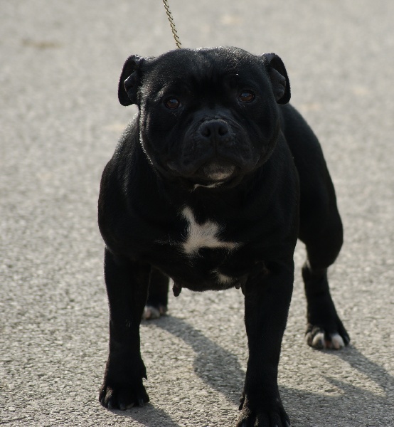 Publication : Of deleans Auteur : OF DELEANS