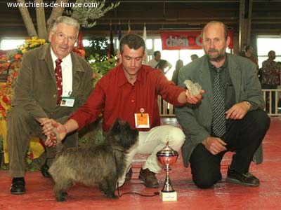 CH. Unique cottage Geevor - Meilleur de Groupe