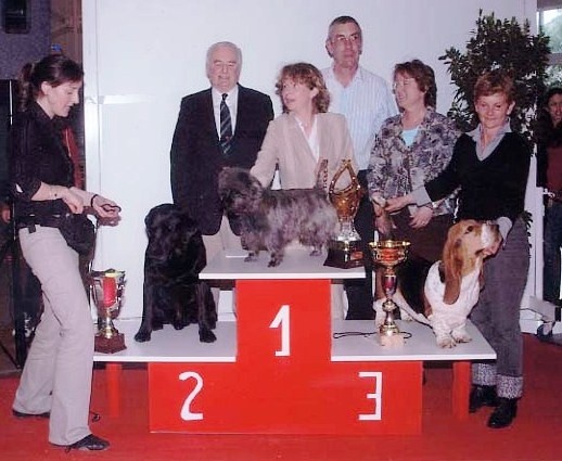 CH. Tara cottage Upland - Best in show