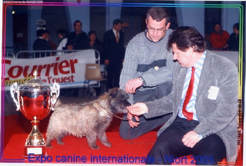 CH. Unique cottage Geevor - Best in show