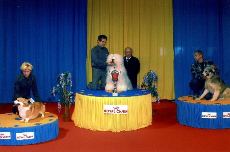 CH. Ecstasy Aus dem elbe urstromtal