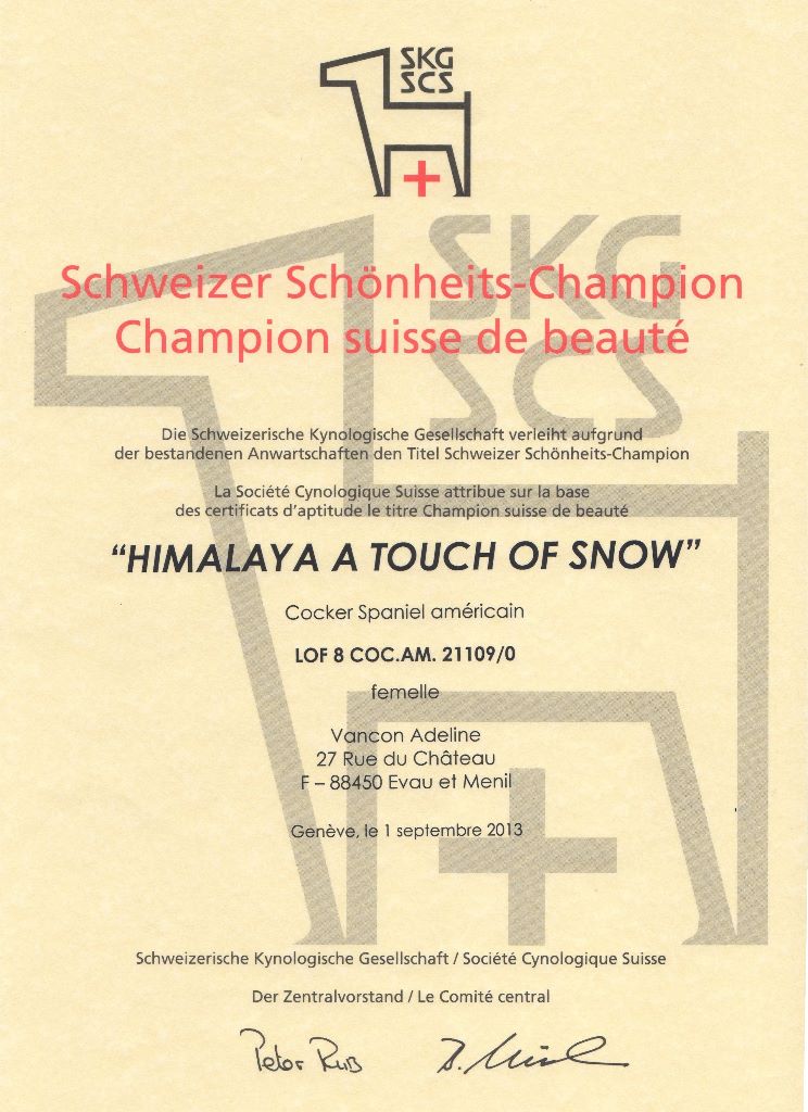 Publication : A touch of snow  