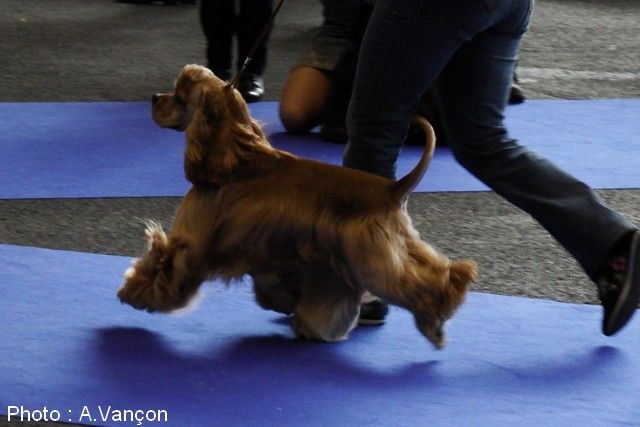 Publication : A touch of snow