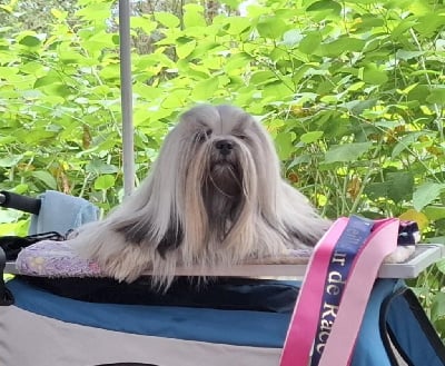 du Manoir de Luthece