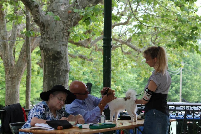 CH. Hello kitty du Bois d'Eden - Très prometteur