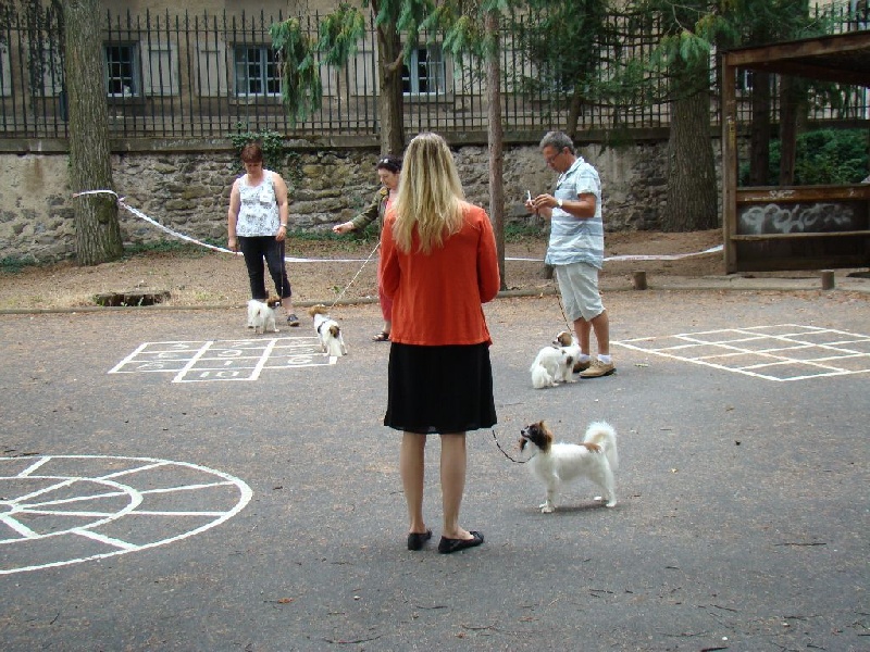 CH. Hello kitty du Bois d'Eden - 1er Exc. CACS et Meilleur Sexe Opposé