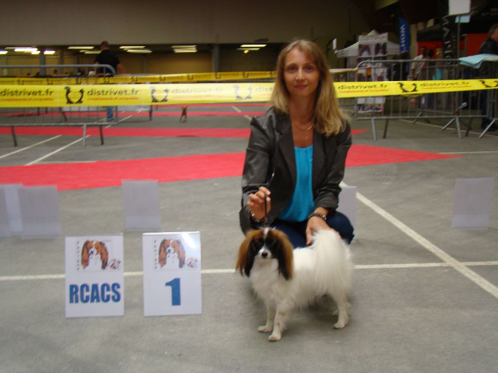 CH. Hello kitty du Bois d'Eden - 1° Excellent et RCACS !