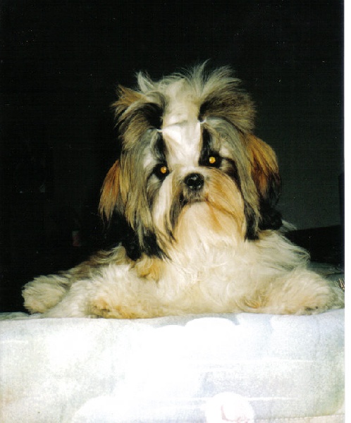 Valinka Du domaine des atlantes - Trés prometteur