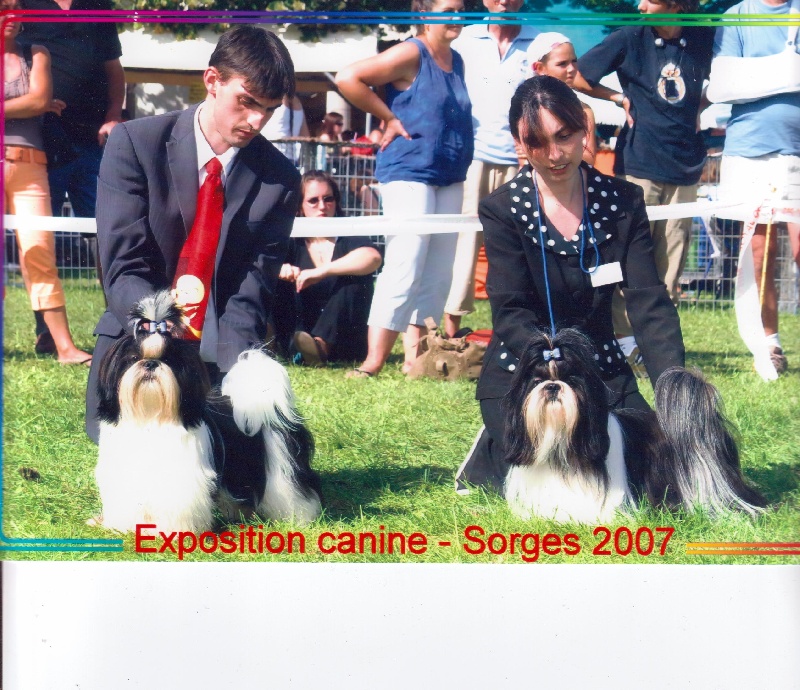 CH. Asian kung fu Kakou de Neguyland - CACS 1er excellent classe ouverte