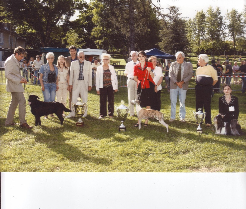 CH. Asian kung fu Kakou de Neguyland - CACS 1er excellent classe ouverte