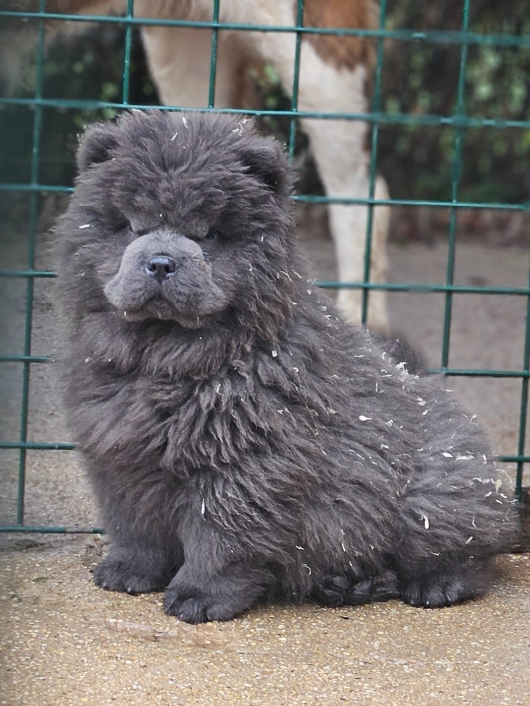 Artémis - collier vert