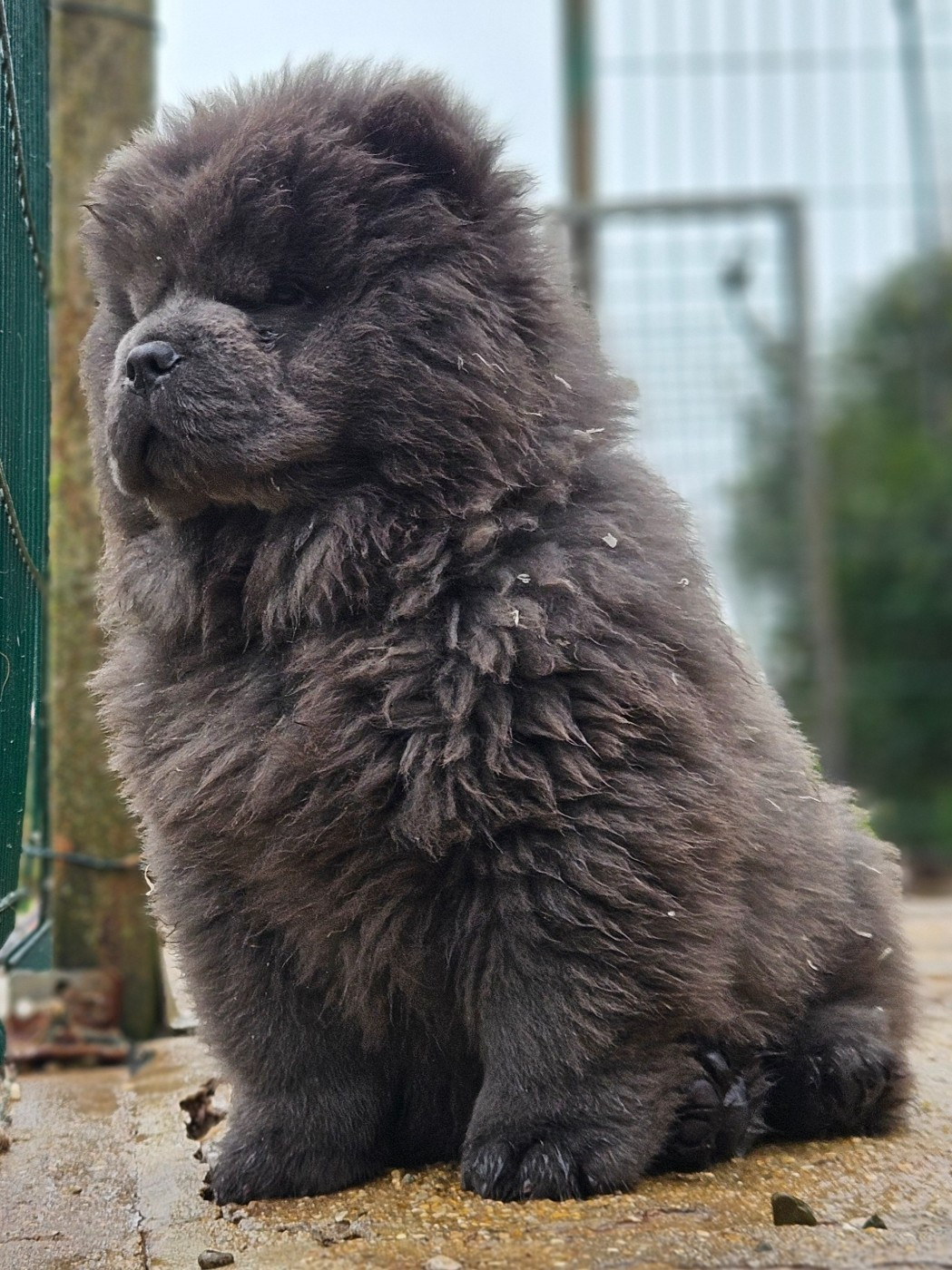 Artémis - collier vert