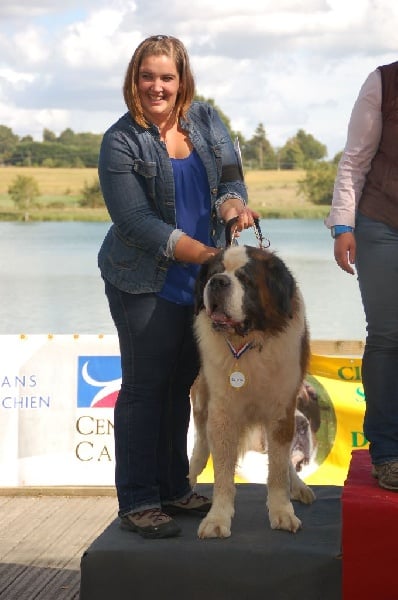 Darwin Du chateau robert - 2eme EXC