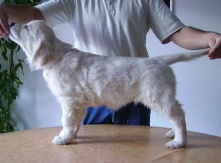 Baïa des Etangs de Bel Air