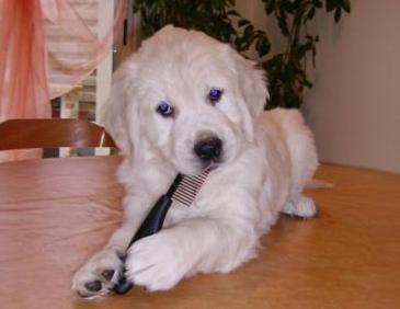 Baïa des Etangs de Bel Air