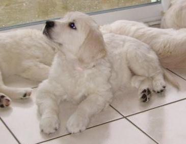 Baïa des Etangs de Bel Air