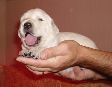 Baïa des Etangs de Bel Air