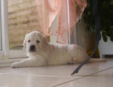 Baïa des Etangs de Bel Air