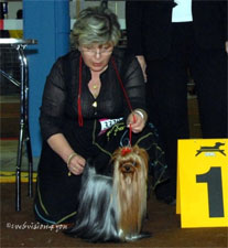 CH. Adadgio du Puy Doré - CACIB Meilleur de race