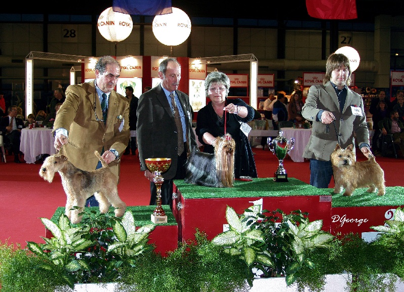 CH. Adadgio du Puy Doré - CACIB BOB BOG