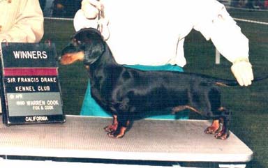 Publication : des Emondines Auteur : Michèle Giraud