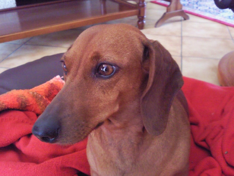 Publication : des Emondines Auteur : Michèle Giraud