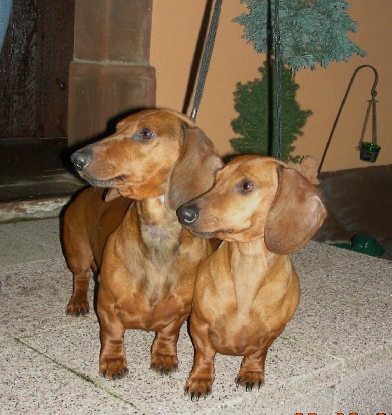 Publication : des Emondines Auteur : Michèle Giraud