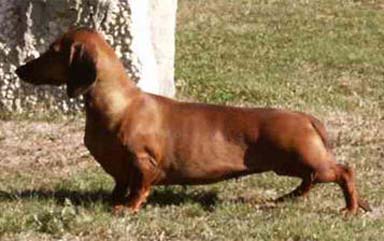 Publication : des Emondines Auteur : Michèle Giraud