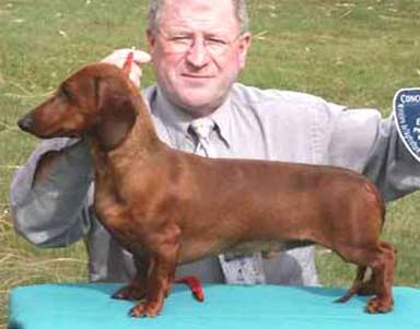 Publication : des Emondines Auteur : Michèle Giraud