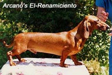 Publication : des Emondines Auteur : Michèle Giraud