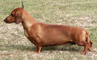 Publication : des Emondines Auteur : Michèle Giraud