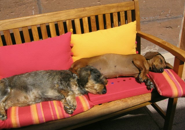 Publication : des Emondines Auteur : Michèle Giraud