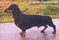 Publication : des Emondines Auteur : Michèle Giraud