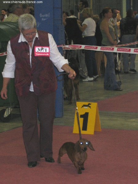 Venise de la chapellerie - CACIB CAC BOB