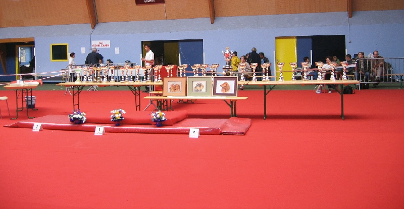 Venise de la chapellerie - 1er EXCELLENT CLASSE SUJET RECOMMANDE