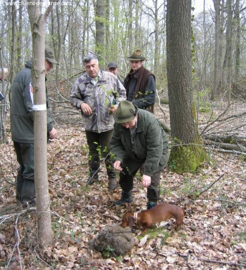 Venise de la chapellerie - 2ème prix 82 points