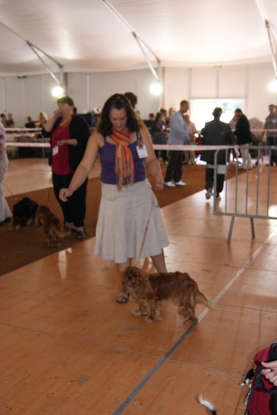 Divine rose Du temps des irees - 2éme EXC ,cl ouvert